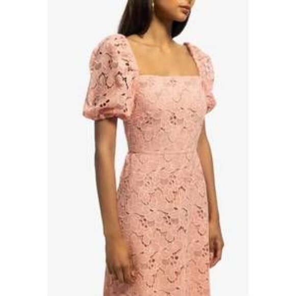 Shoshanna Lace Dress Tasha recently sold out on line this year - Picture 8 of 10